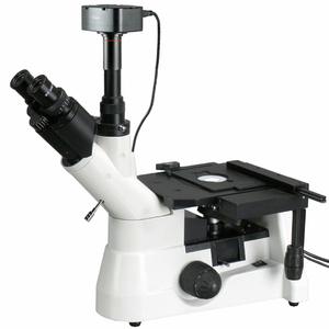 Los mejores microscopios invertidos