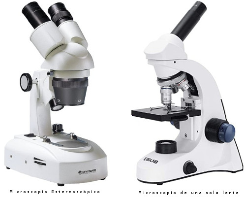 Diferencias Microscopios Estereoscópicos - Microscopios Ópticos de una Sola Lente