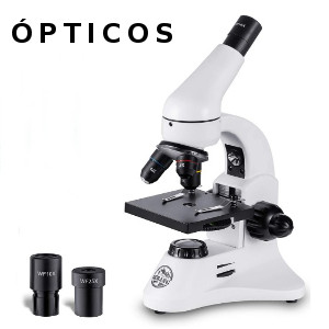 Los Mejores Microscopios Ópticos