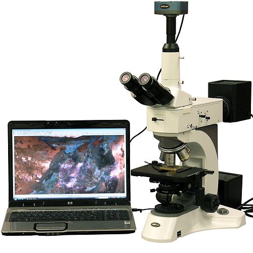 el plastico Ponte de pie en su lugar caricia Los Mejores Microscopios Polarizadores - Microscopios Petrográficos